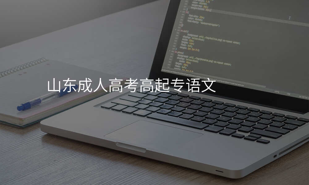 山东成人高考高起专语文