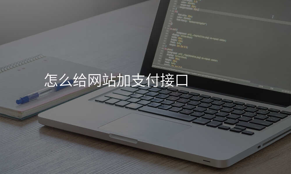 怎么给网站加支付接口
