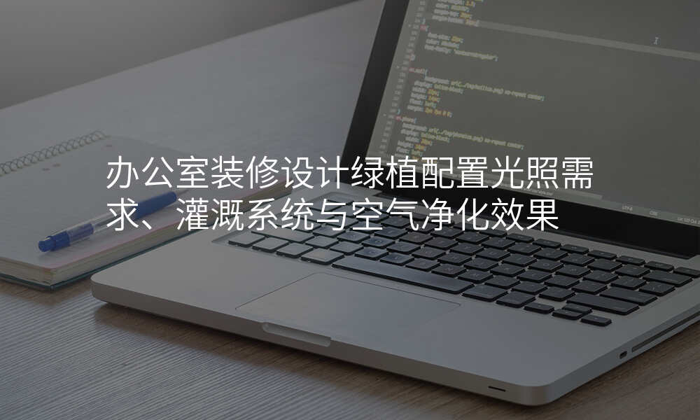 办公室装修设计绿植配置光照需求、灌溉系统与空气净化效果