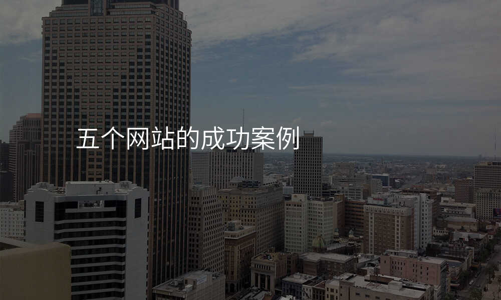 五个网站的成功案例