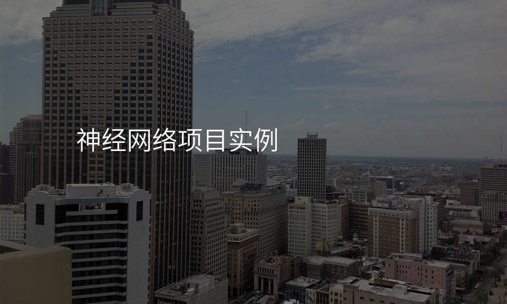 神经网络项目实例