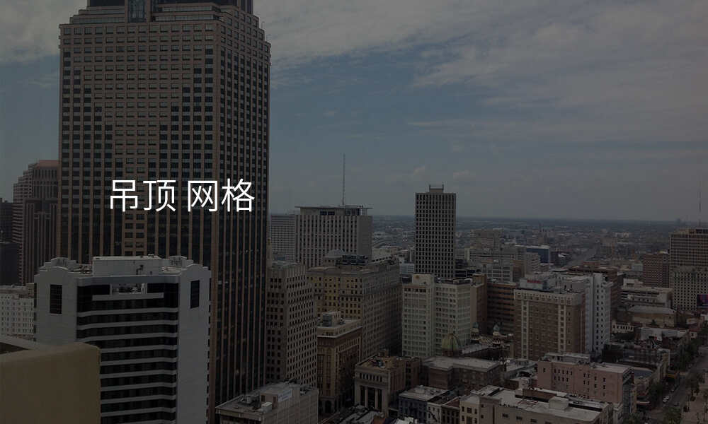 吊顶 网格