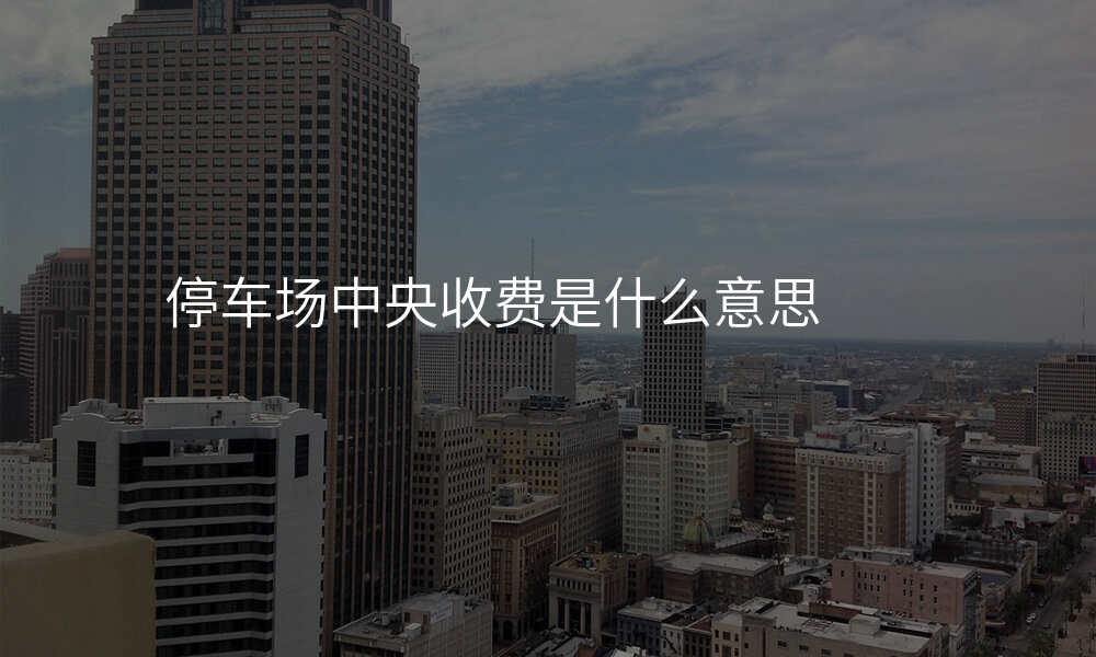 停车场中央收费是什么意思
