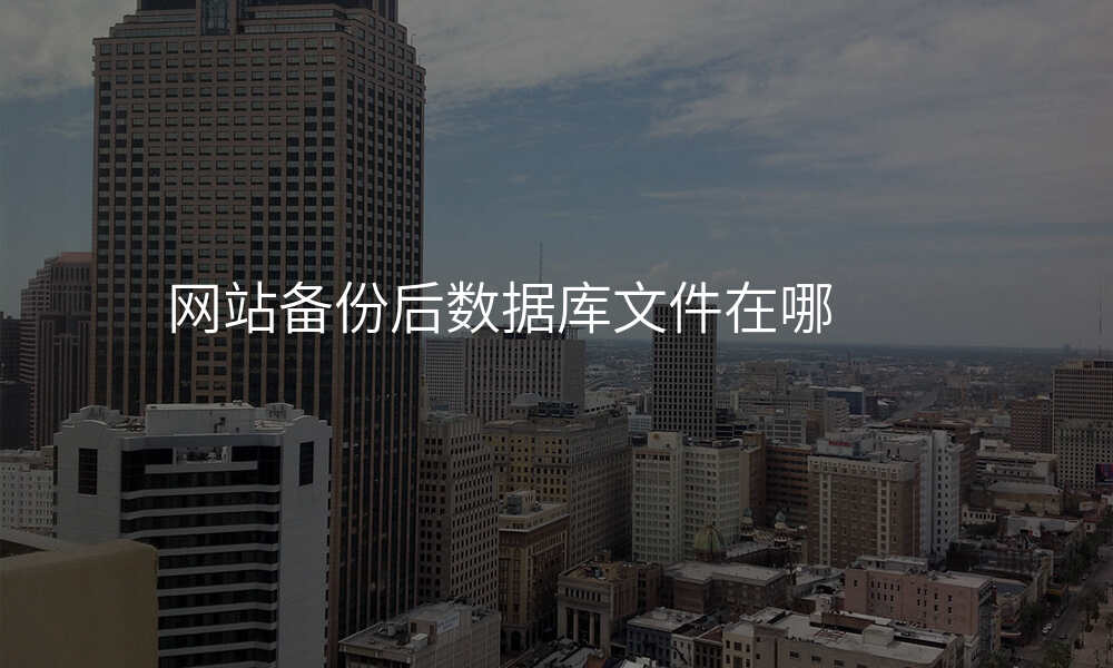 网站备份后数据库文件在哪