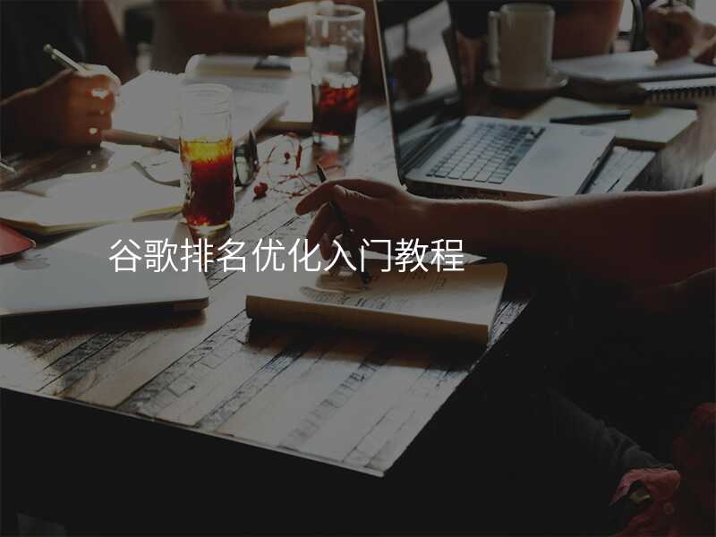 谷歌排名优化入门教程