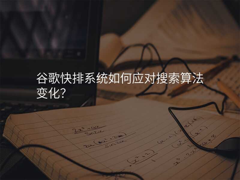 谷歌快排系统如何应对搜索算法变化?
