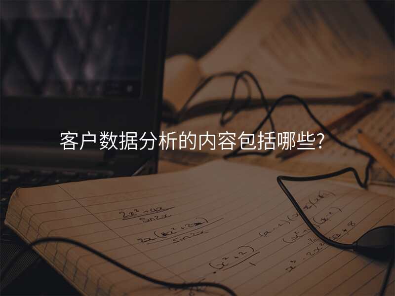 客户数据分析的内容包括哪些?
