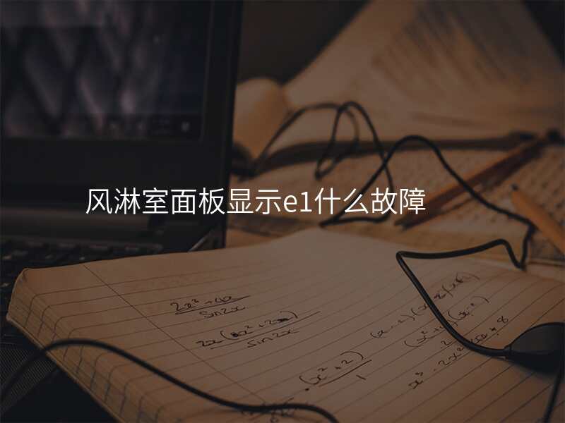 风淋室面板显示e1什么故障