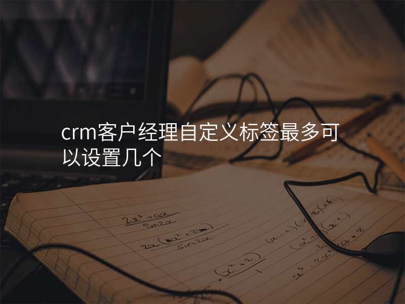 crm客户经理自定义标签最多可以设置几个