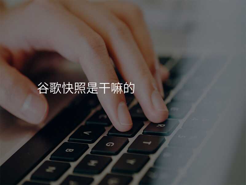 谷歌快照是干嘛的