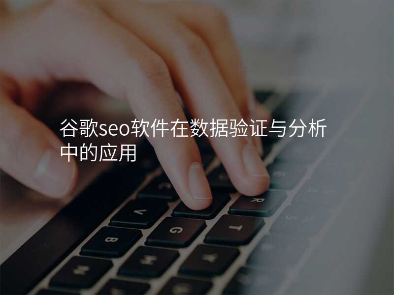 谷歌seo软件在数据验证与分析中的应用