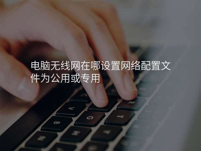 电脑无线网在哪设置网络配置文件为公用或专用