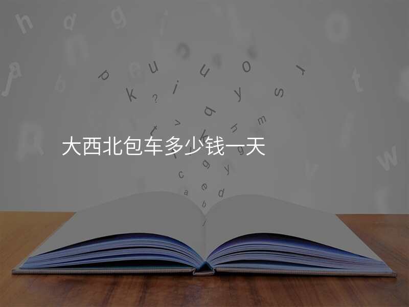 大西北包车多少钱一天