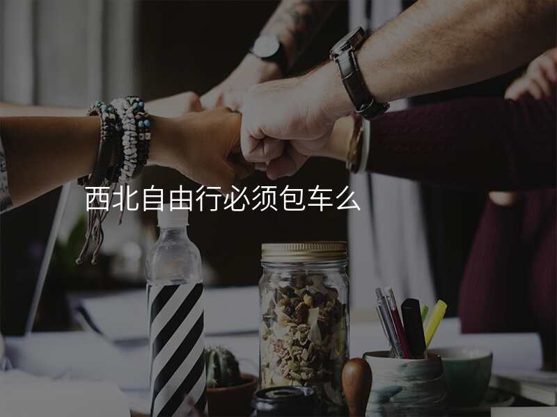 西北自由行必须包车么