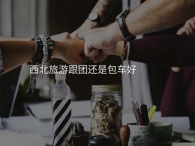 西北旅游跟团还是包车好