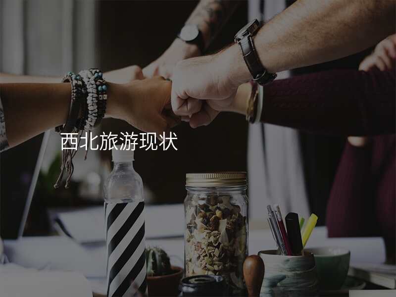 西北旅游现状