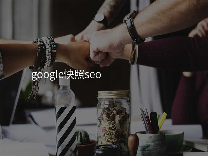 google快照seo