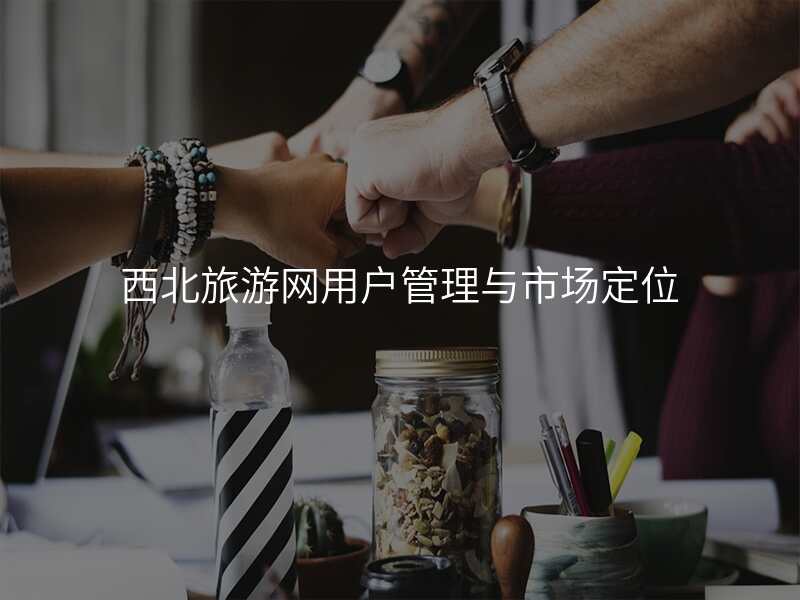 西北旅游网用户管理与市场定位