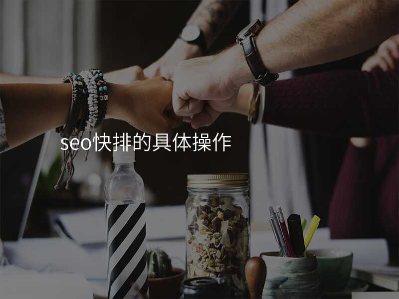 seo快排的具体操作