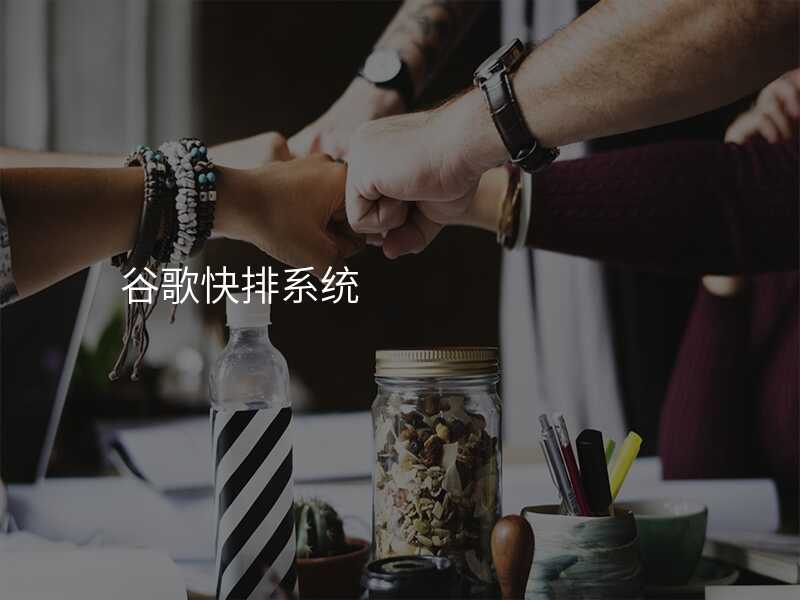 谷歌快排系统