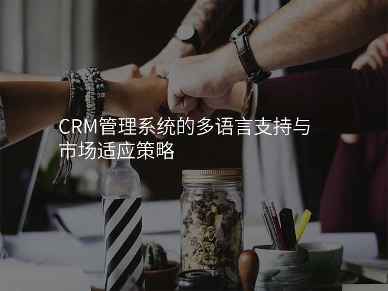 CRM管理系统的多语言支持与市场适应策略