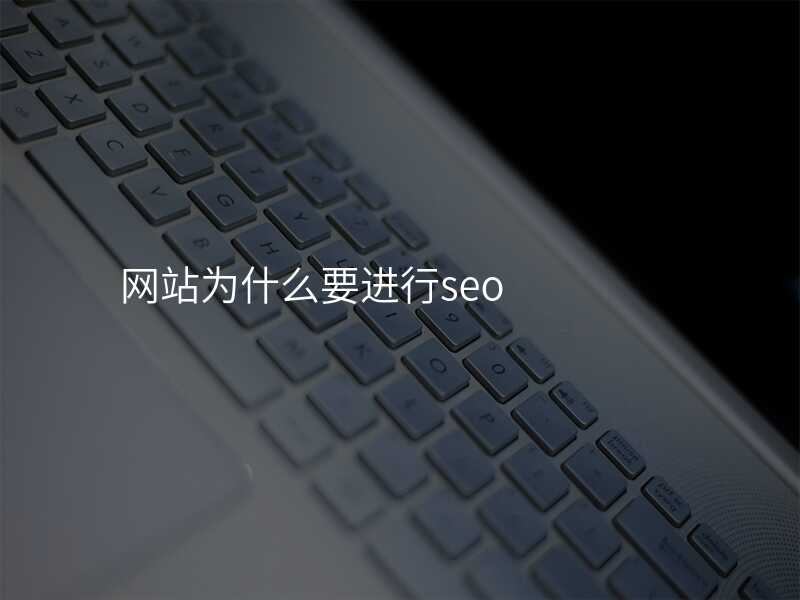 网站为什么要进行seo