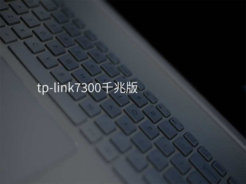 tp-link7300千兆版
