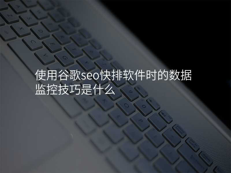使用谷歌seo快排软件时的数据监控技巧是什么