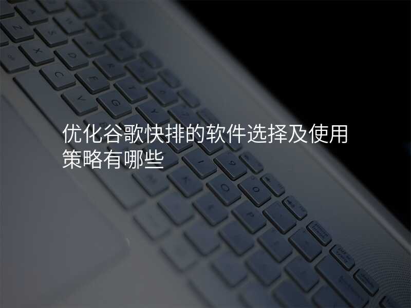 优化谷歌快排的软件选择及使用策略有哪些