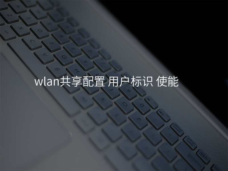 wlan共享配置 用户标识 使能