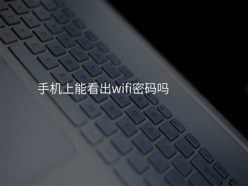手机上能看出wifi密码吗