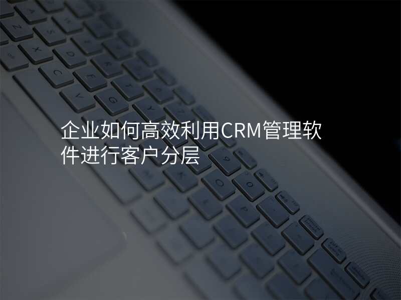 企业如何高效利用CRM管理软件进行客户分层