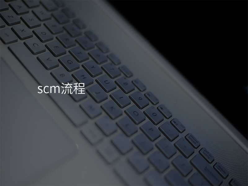 scm流程