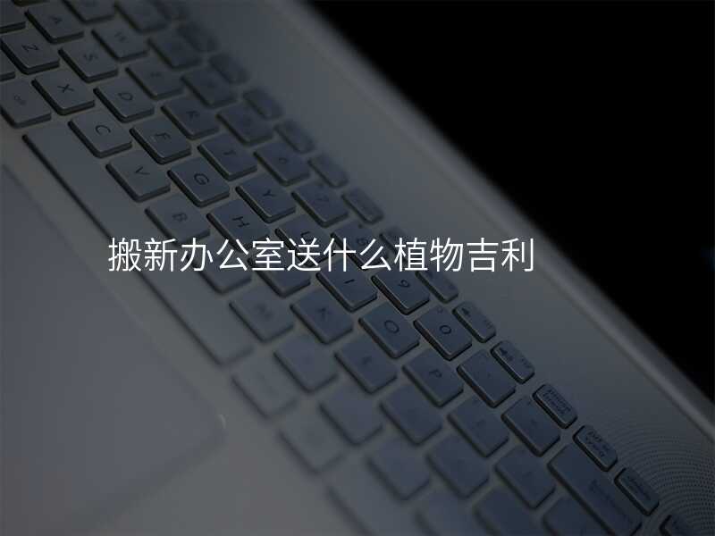 搬新辦公室送什么植物吉利