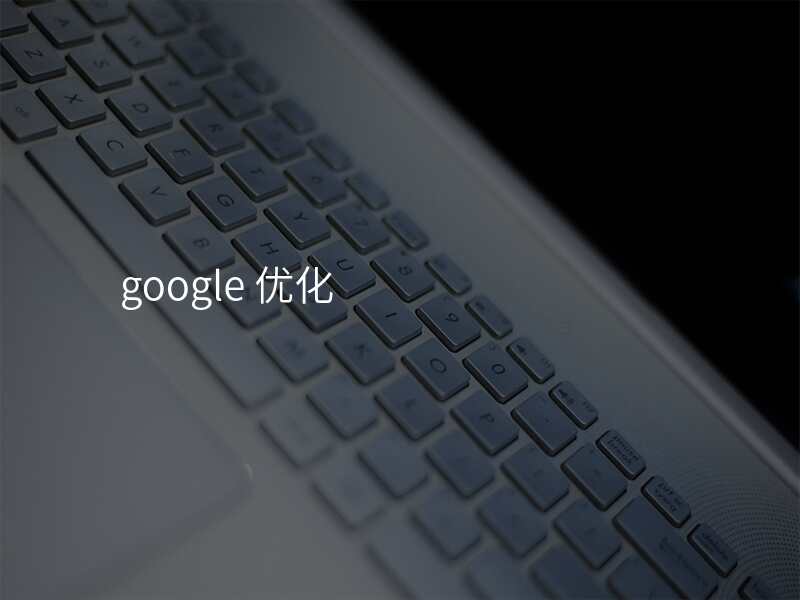 google 优化