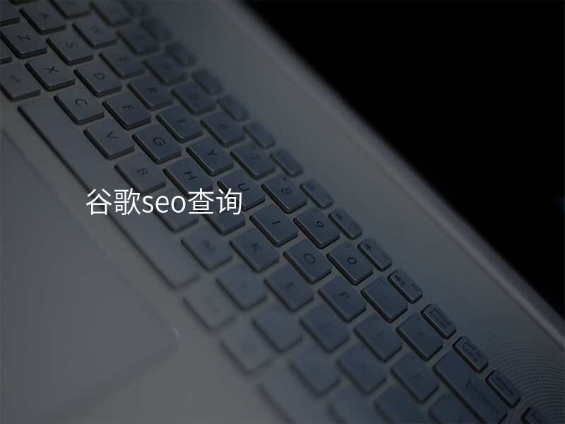谷歌seo查询