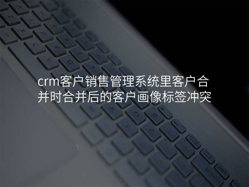 crm客户销售管理系统里客户合并时合并后的客户画像标签冲突