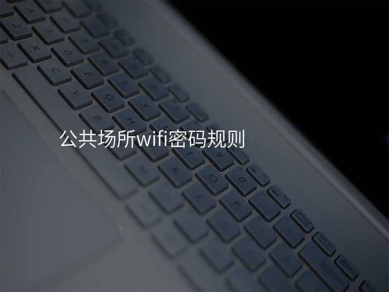 公共场所wifi密码规则