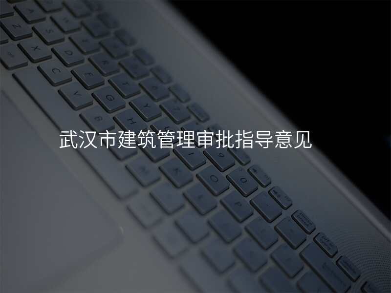 武汉市建筑管理审批指导意见