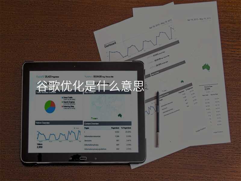谷歌优化是什么意思