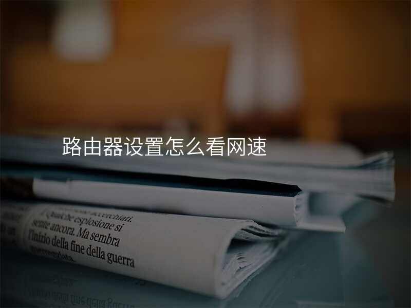 路由器设置怎么看网速