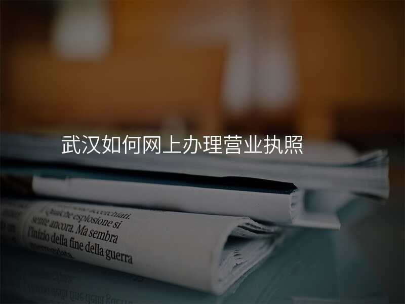 武汉如何网上办理营业执照