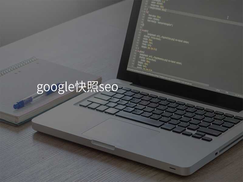 google快照seo