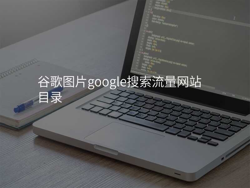 谷歌图片google搜索流量网站目录