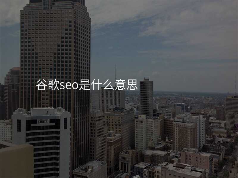 谷歌seo是什么意思