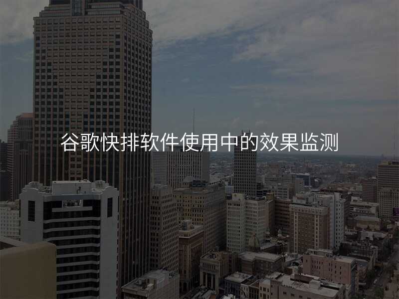 谷歌快排软件使用中的效果监测
