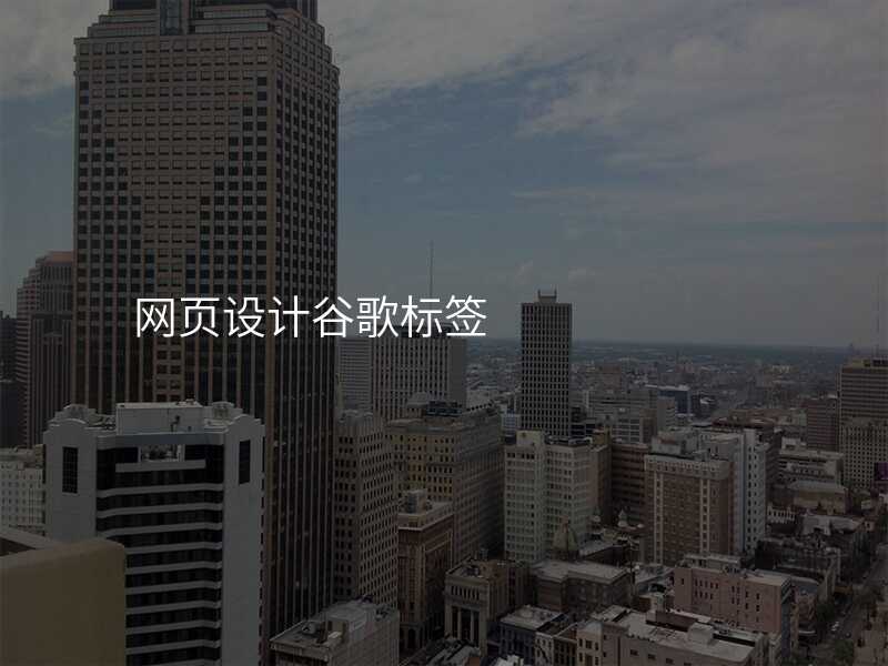 网页设计谷歌标签