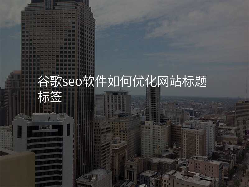 谷歌seo软件如何优化网站标题标签