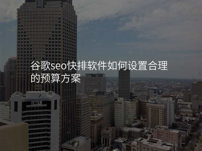 谷歌seo快排软件如何设置合理的预算方案