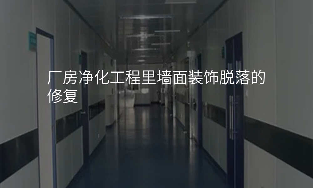 厂房净化工程里墙面装饰脱落的修复